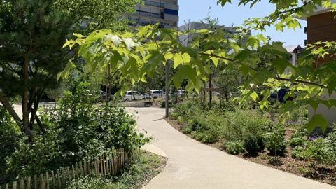 Aider les collectivités à végétaliser, rendre le bâti plus favorable à la biodiversité et faciliter l’accès aux métiers de la protection de l’environnement : telles sont les propositions que l’Unep adresse aux candidats à la prochaine élection présidentielle. ©P.Fayolle